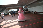 DSC_8811.JPG